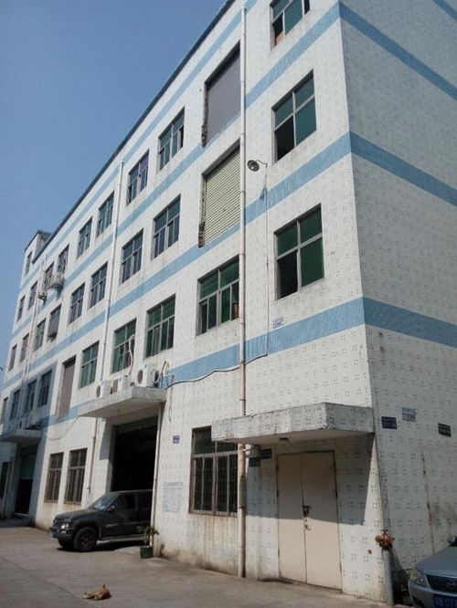 广州市厂房结构安全检测公司哪家正规？工程设计需重视专业检测